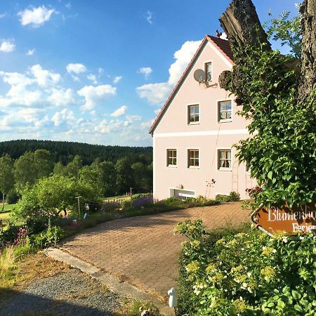 Spacious Apartment With Sauna In Schonsee Dietersdorf Exterior photo